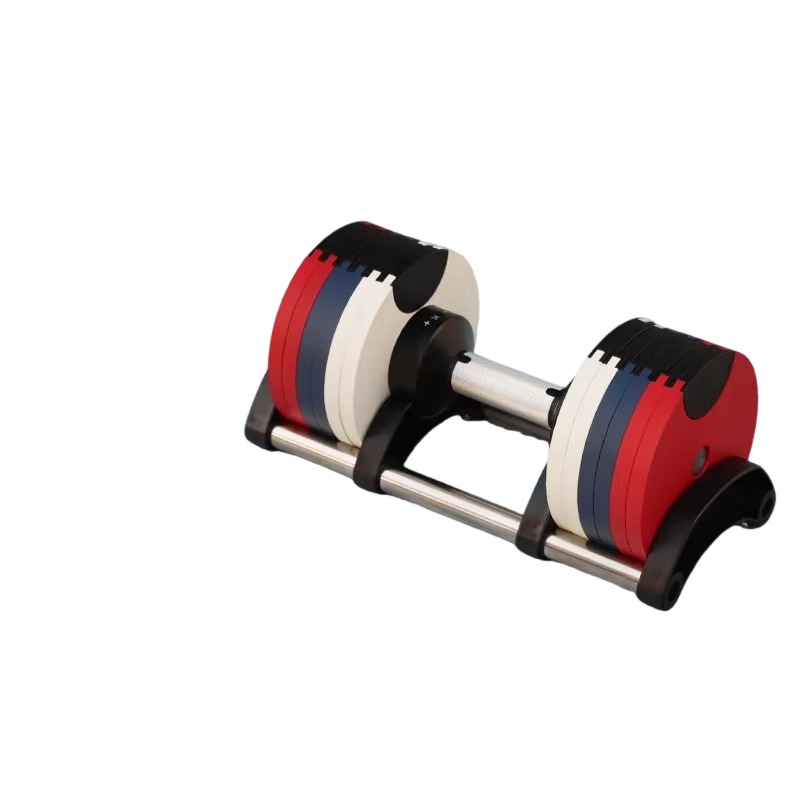 24kg New Heavy Adjustable Dumb - Heavy Equipment Paint ulasan dan harga