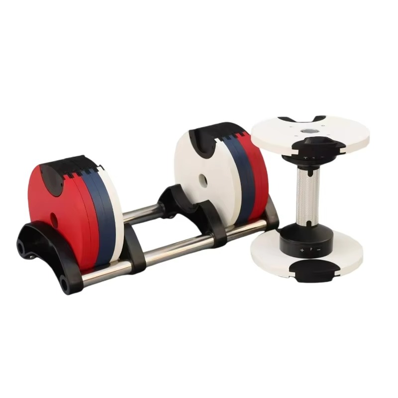 24kg New Heavy Adjustable Dumb - Heavy Equipment Paint ulasan dan harga